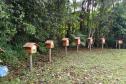 Foto de colmeias no Parque do Palmito