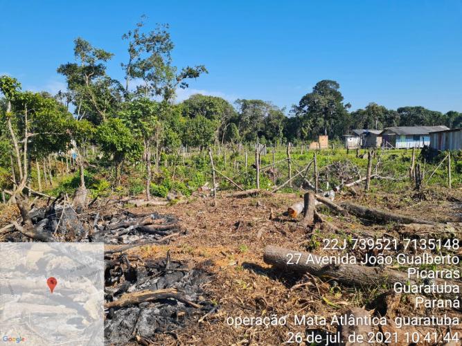 Força-tarefa no litoral identifica mais de 100 hectares de desmatamento ilegal - curitiba, 03/08/2021 - Foto: IAT