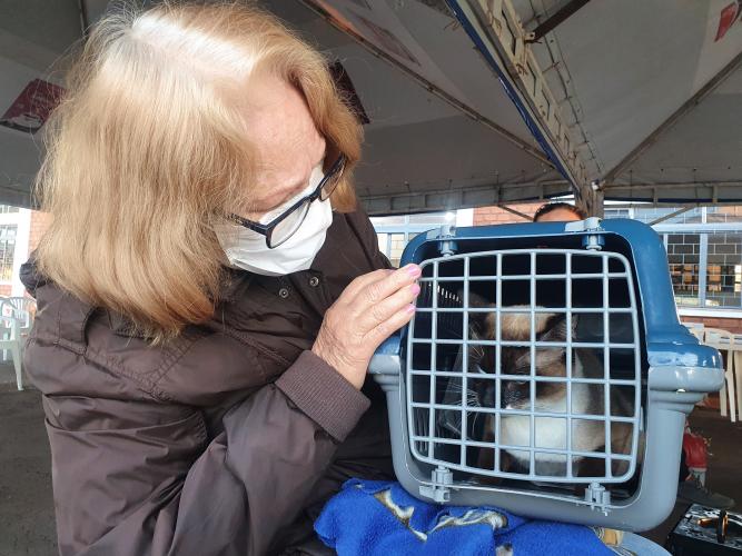 Castrapet em Campo Mourão - Curitiba, 06/08/2021 - Foto: SEDEST