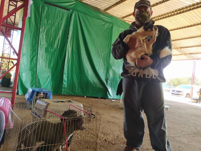 Castrapet em Campo Mourão - Curitiba, 06/08/2021 - Foto: SEDEST