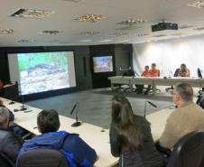 Paraná faz mapeamento para prevenir desastres na Serra do Mar
