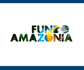 fundo amazônia