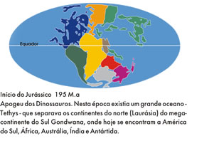 195 milhões de anos atrás