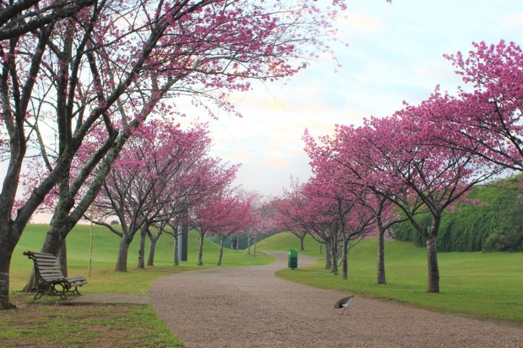 Jardim Botânico - Curitiba