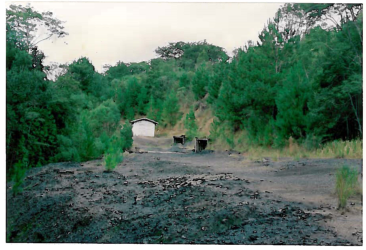 Projeto Carvão - 1979 a 1994
