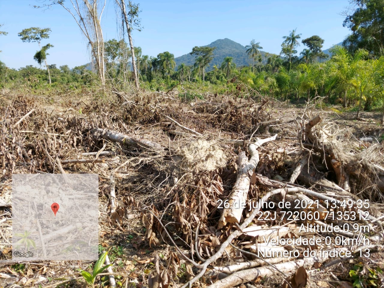 Foram lavrados 43 Autos de Infração Ambiental (AIA), totalizando R$ 790 mil em multas para os infratores. Foto: IAT