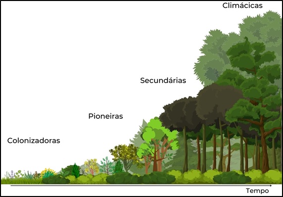 Projeto arboreto