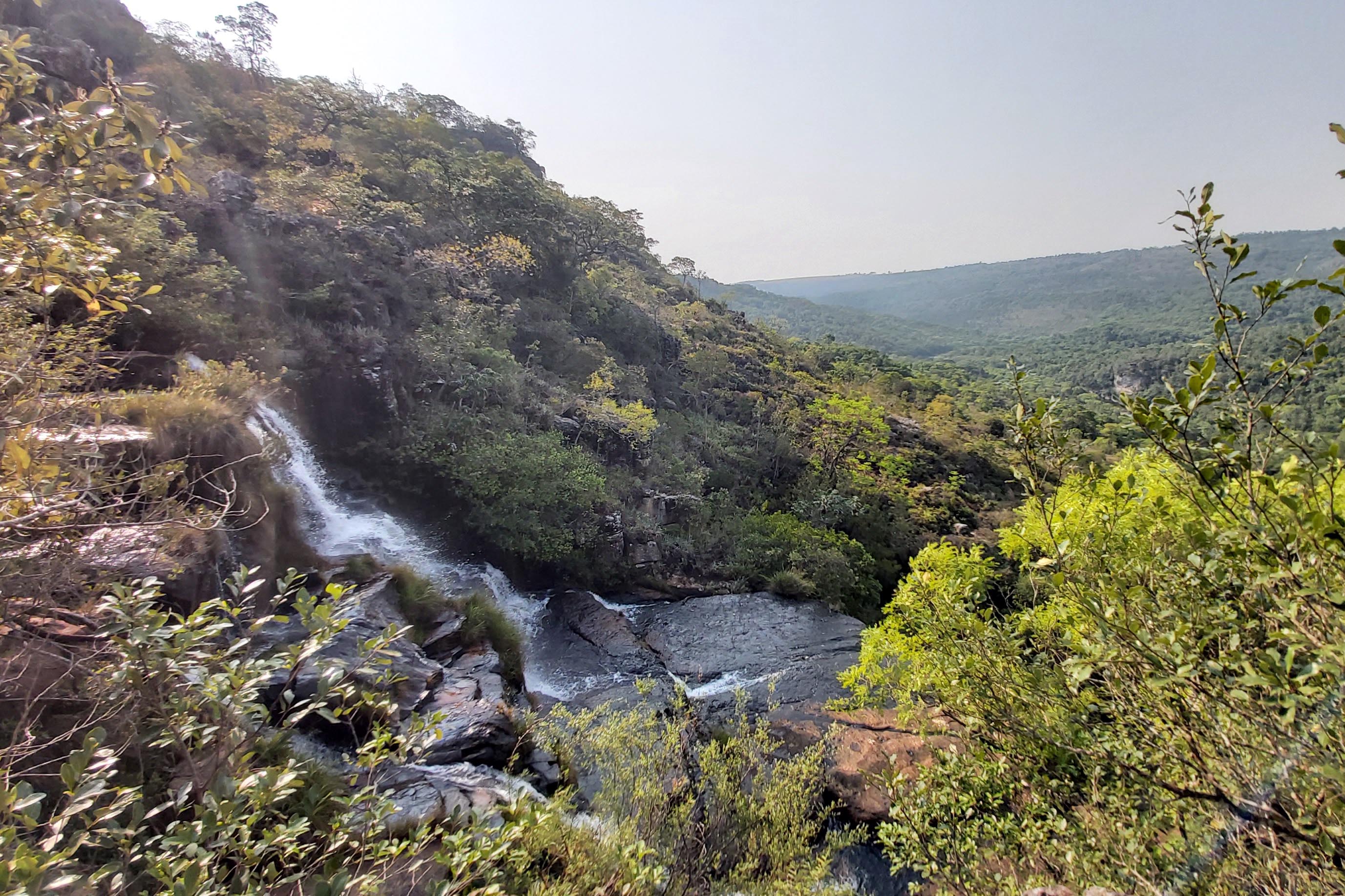 Governo do Paraná destaca papel das RPPNs na conservação da biodiversidade