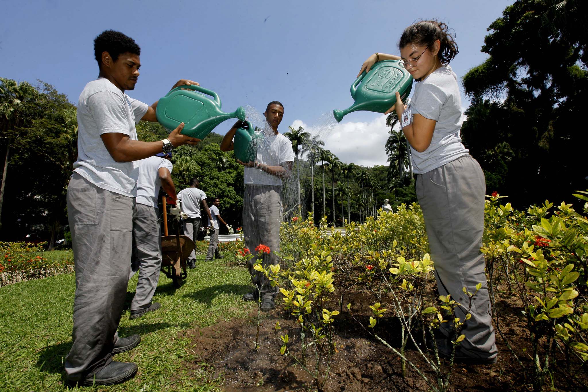 Jardinagem para Iniciantes - 6 cursos online e com certificado