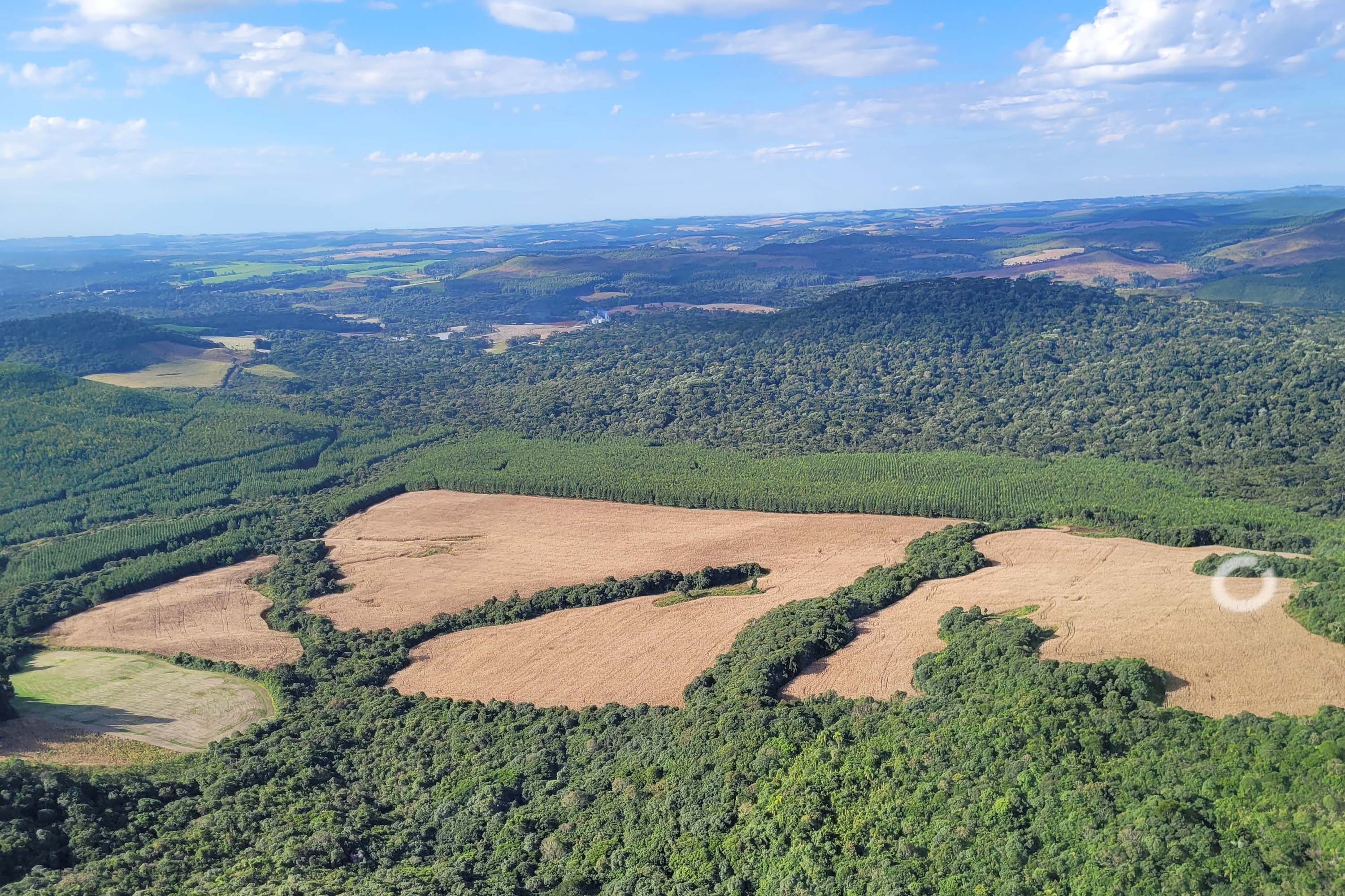 Foto aérea de área desmatada