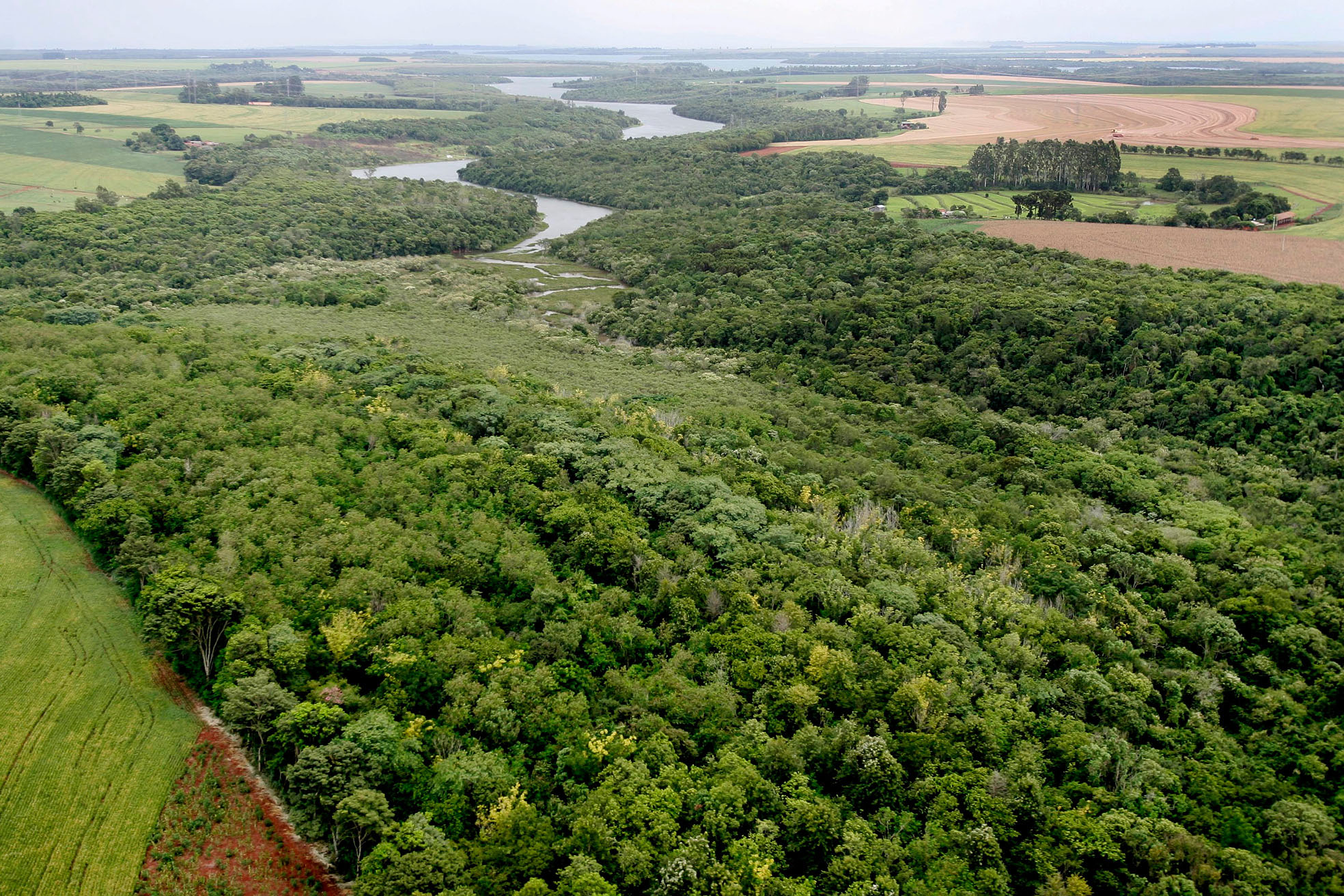 Foto de corredor verde