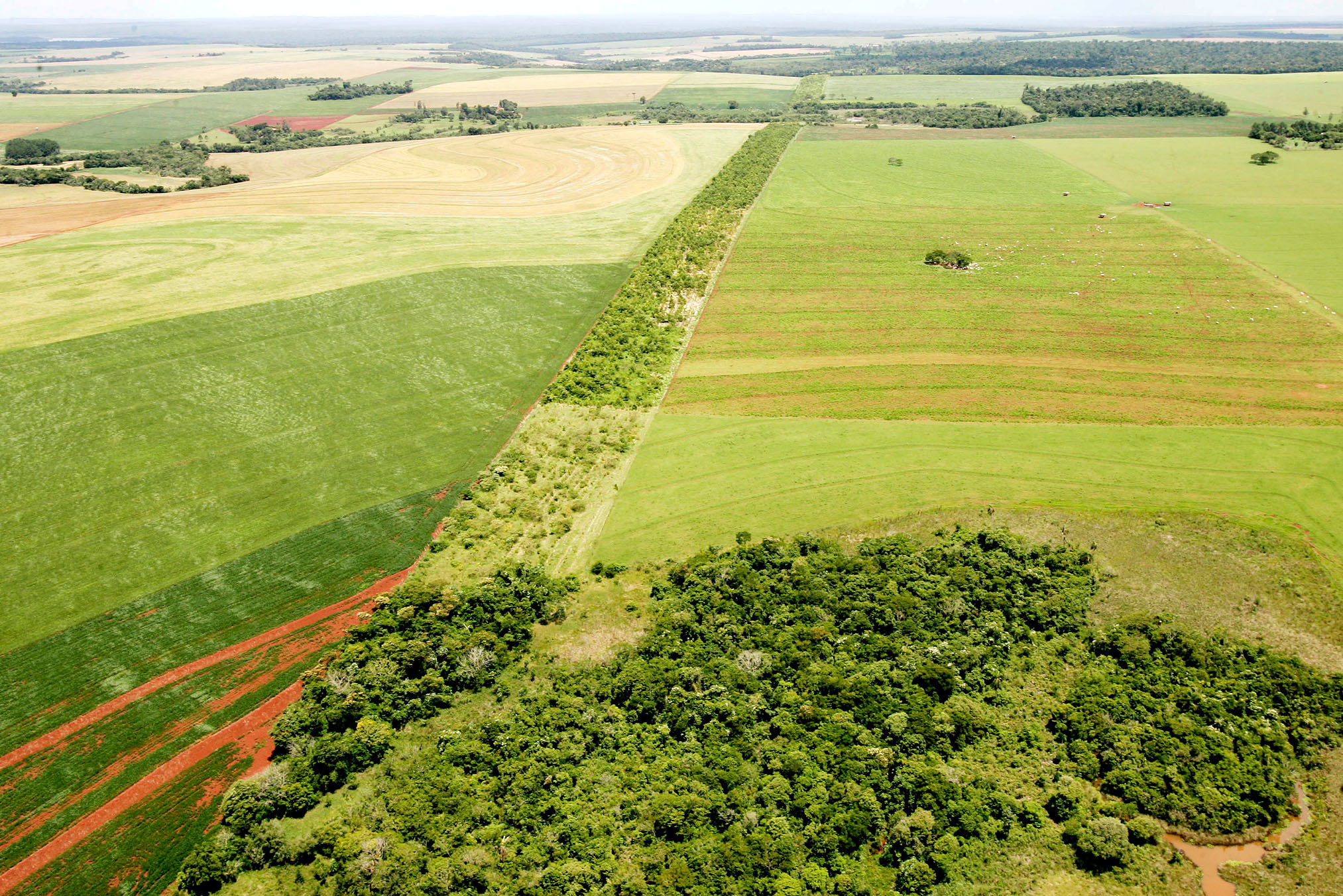 Foto de corredor verde
