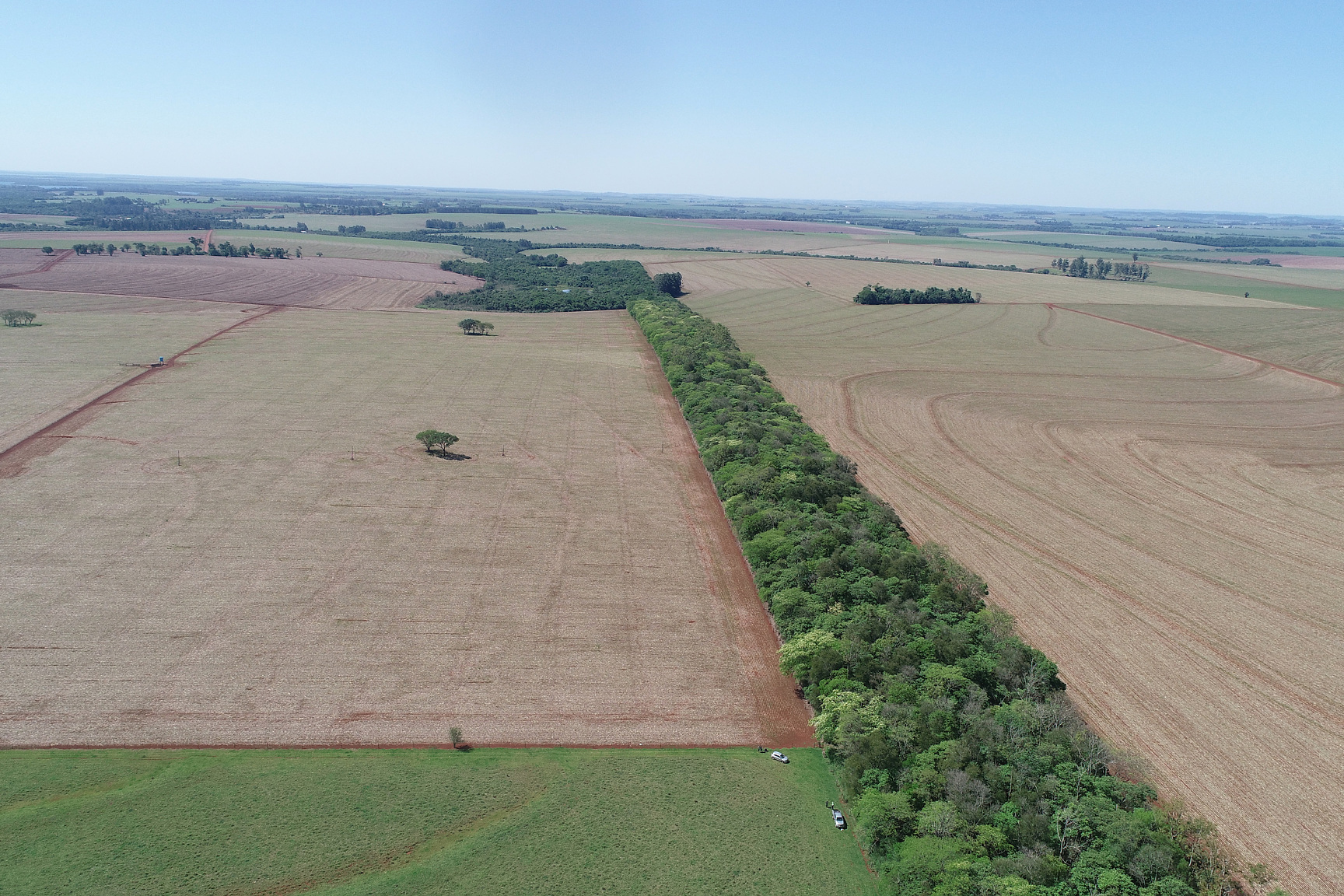 Foto de corredor verde