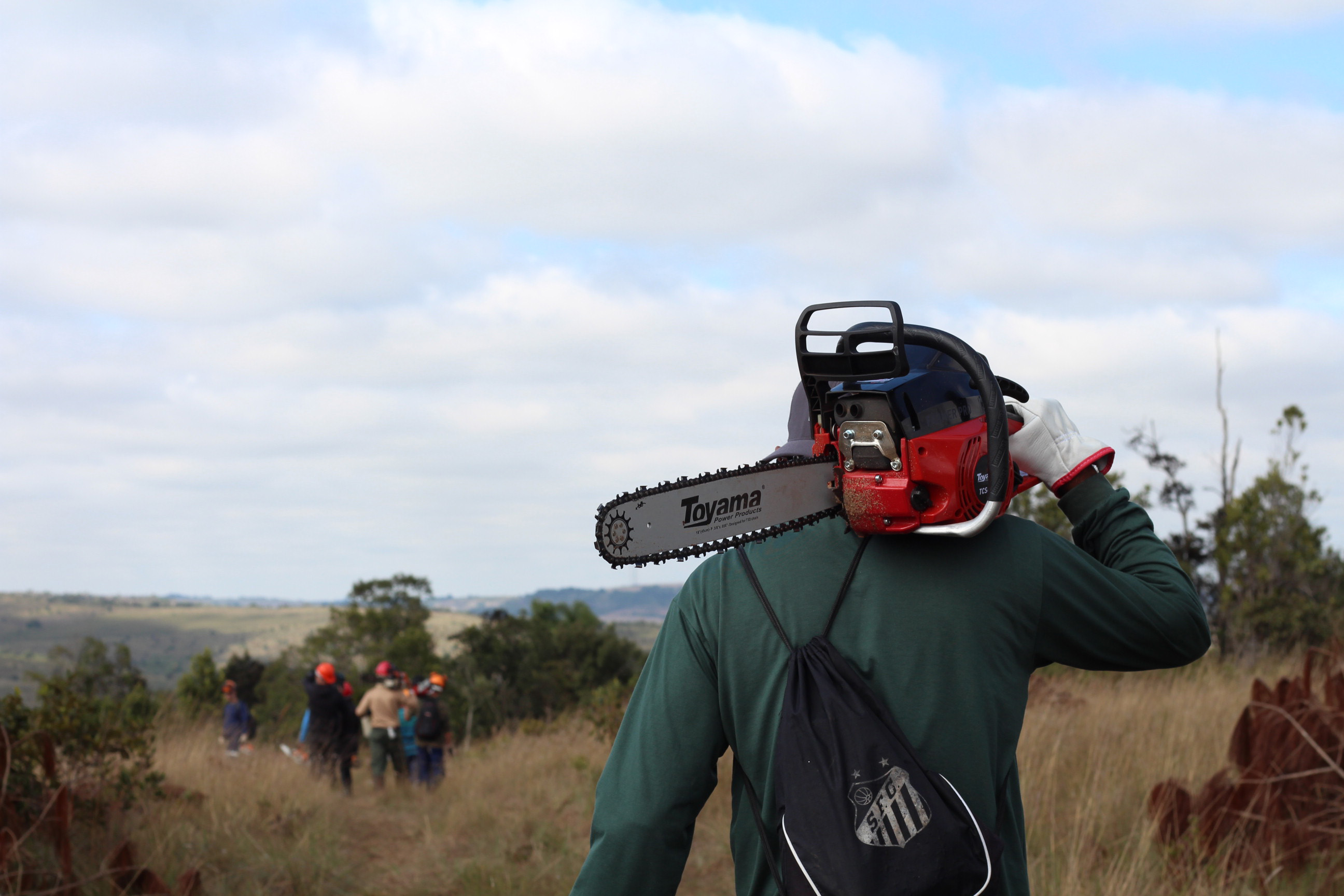 Dia do Voluntariado: IAT disponibiliza três programas para quem quer ajudar a cuidar do meio ambiente