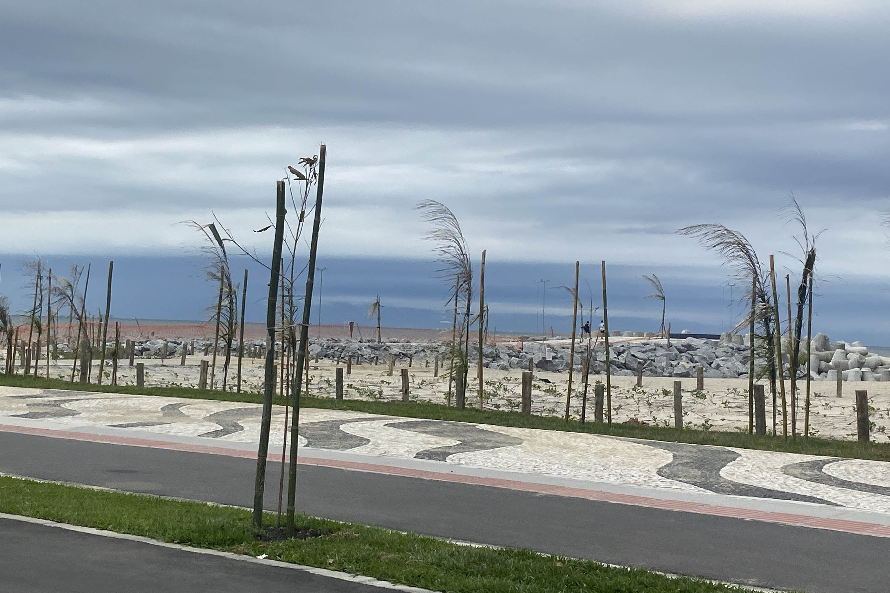 Foto de árvores plantadas na orla