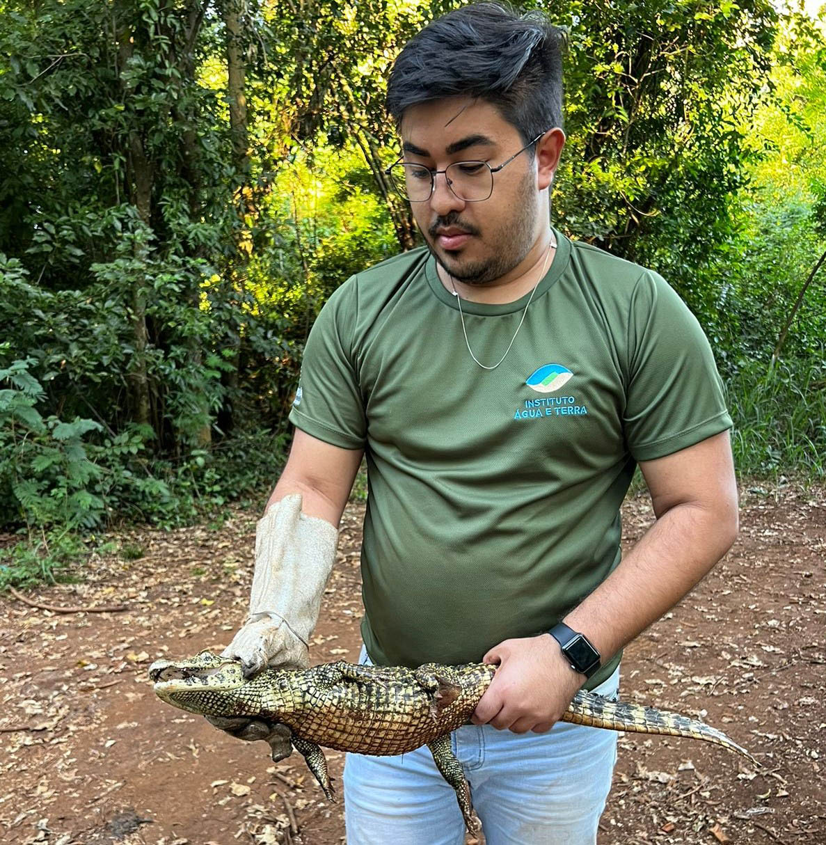 Foto de jacaré sendo devolvido à natureza
