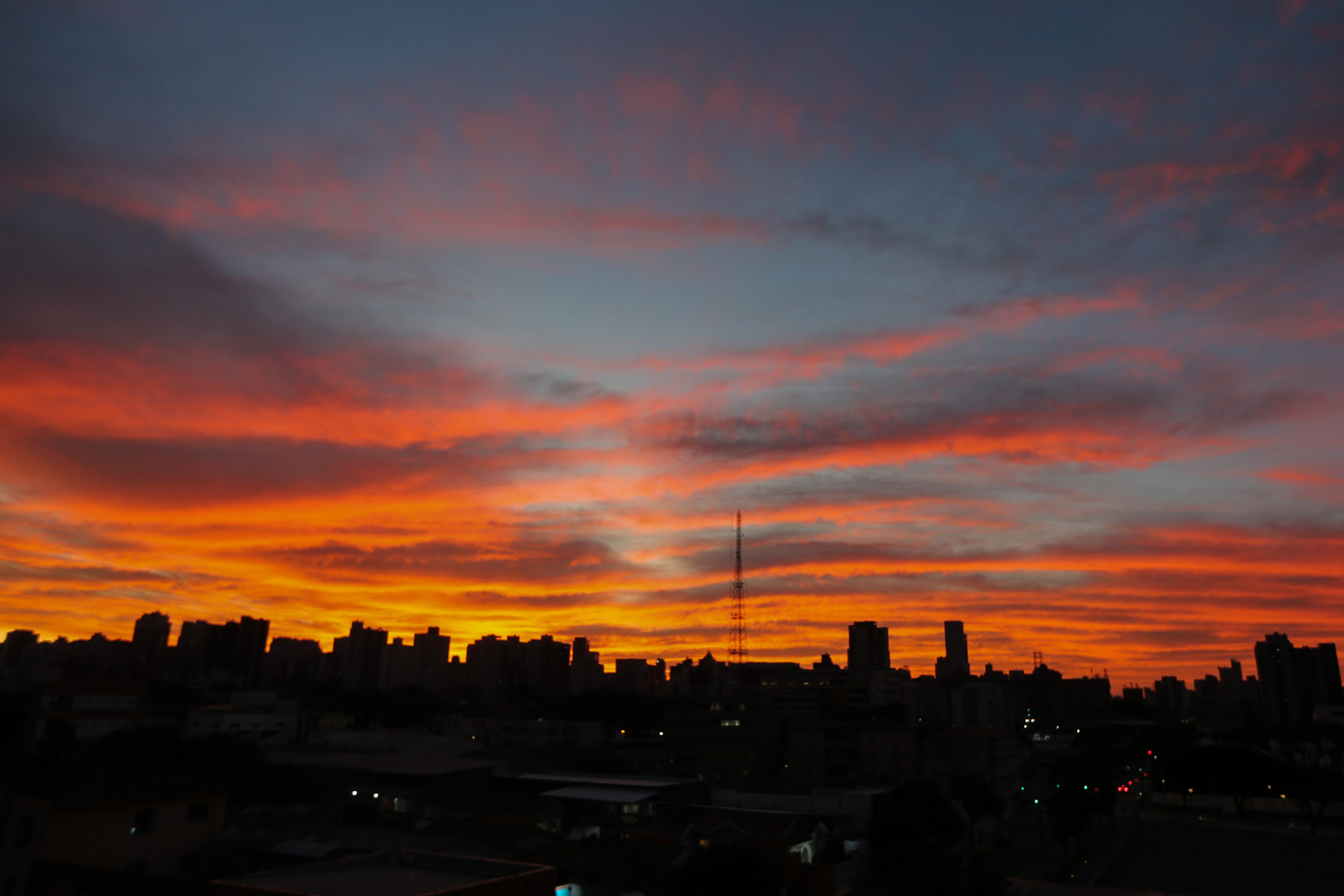 VEGETAÇÃO AO POR DO SOL