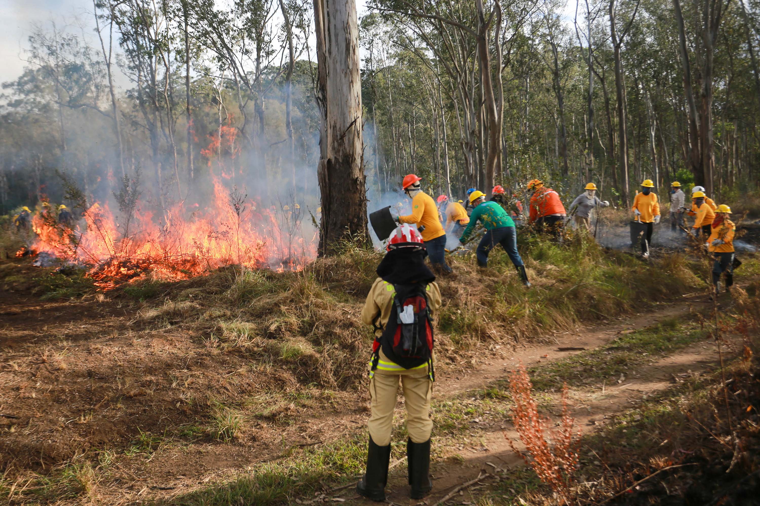 Foto de voluntários durante exercício de capacitação de brigadistas