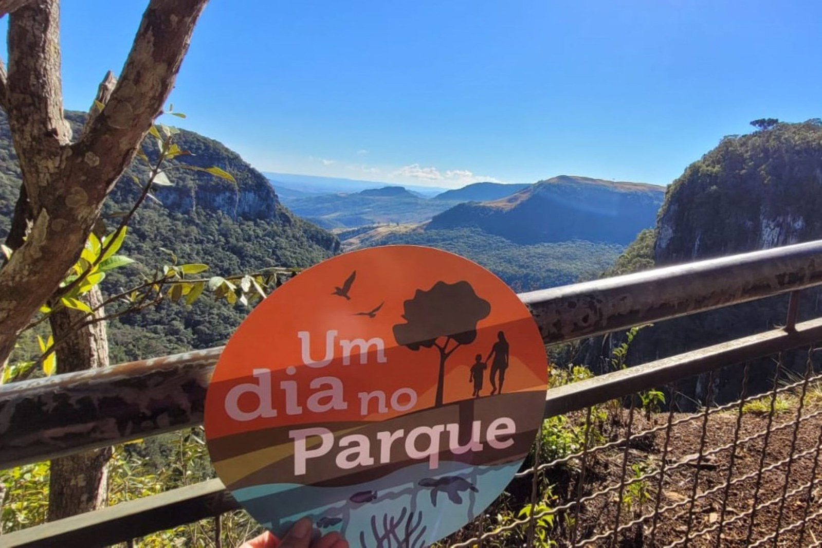 logo do programa mais paisagem ao fundo