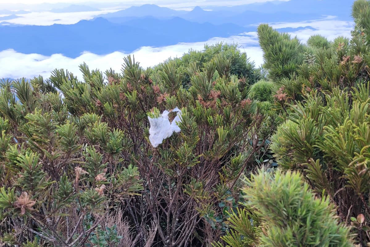 Descarte de dejetos e resíduos na natureza