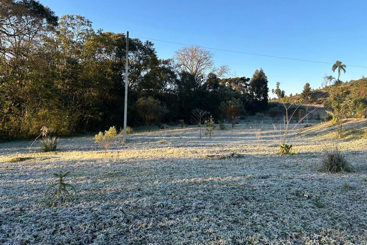 Foto de geada no Paraná