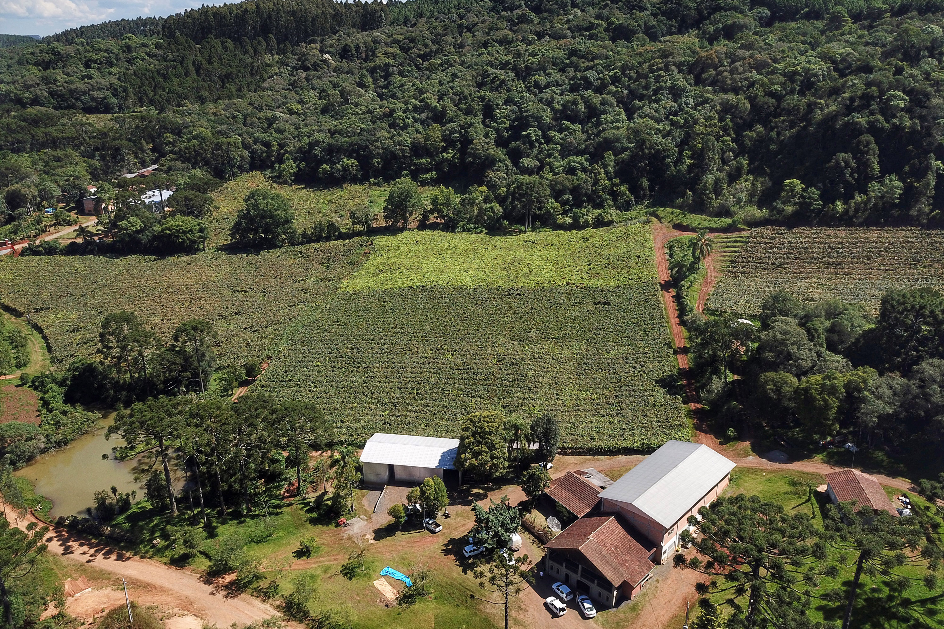 No Noroeste do Paraná, IAT organiza primeiro mutirão para regularização do CAR