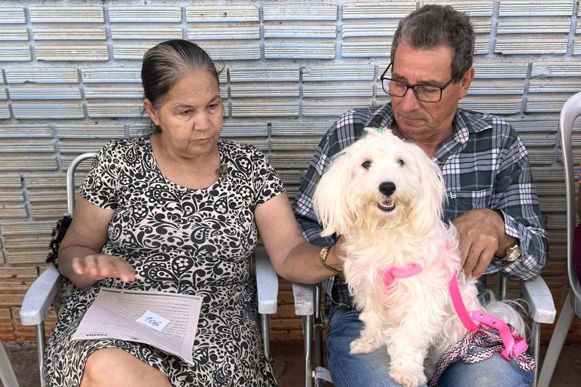 CastraPet Paraná fecha o 4º ciclo