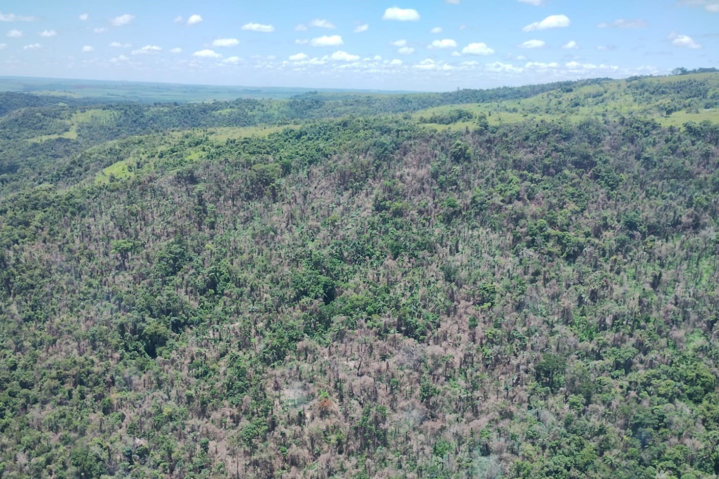 vIAT identificou 478 hectares de área de vegetação danificada por fogo em quatro fazendas de Ribeirão Claro, no Norte Pioneiro