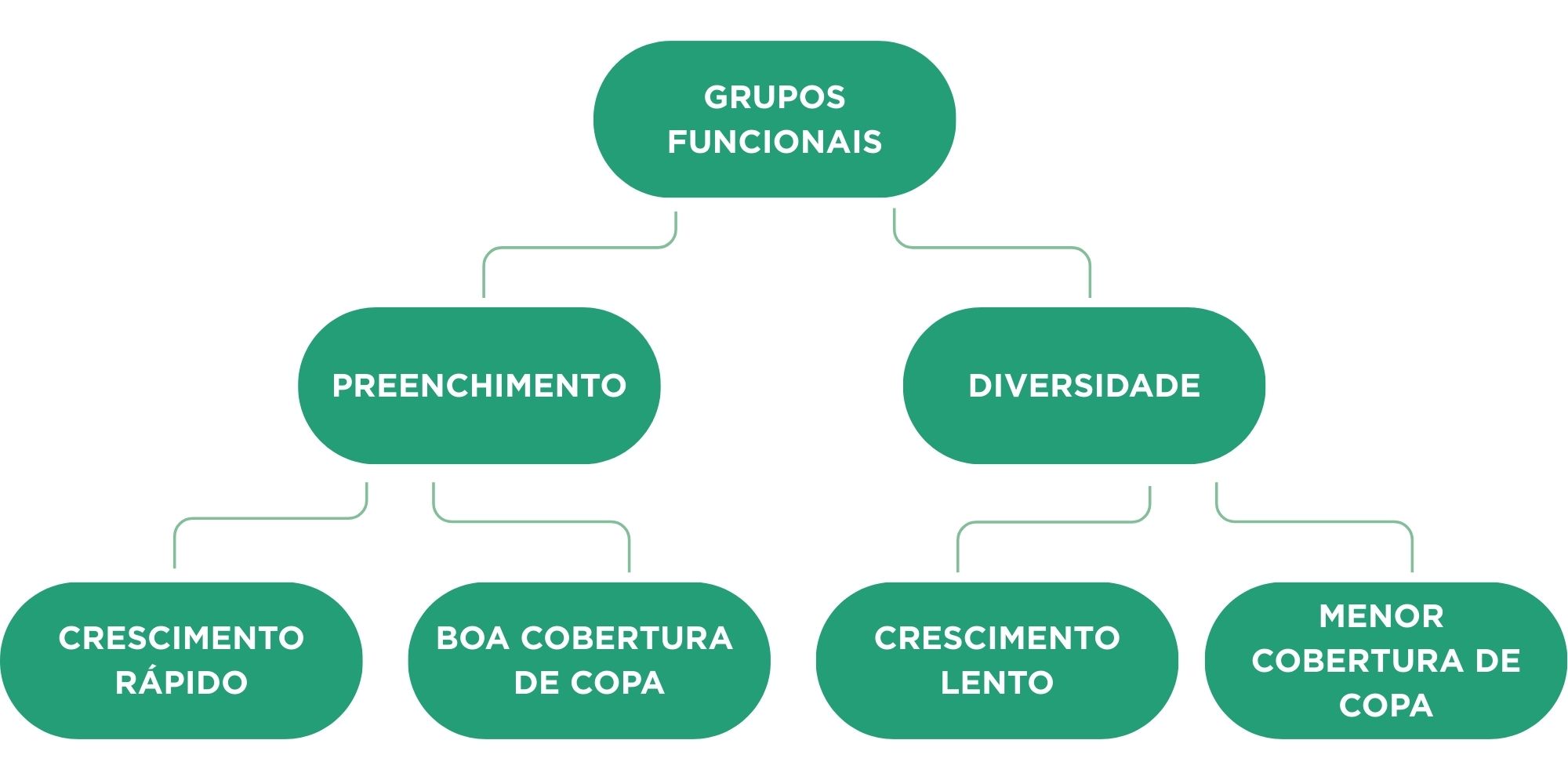 gruposfuncionais