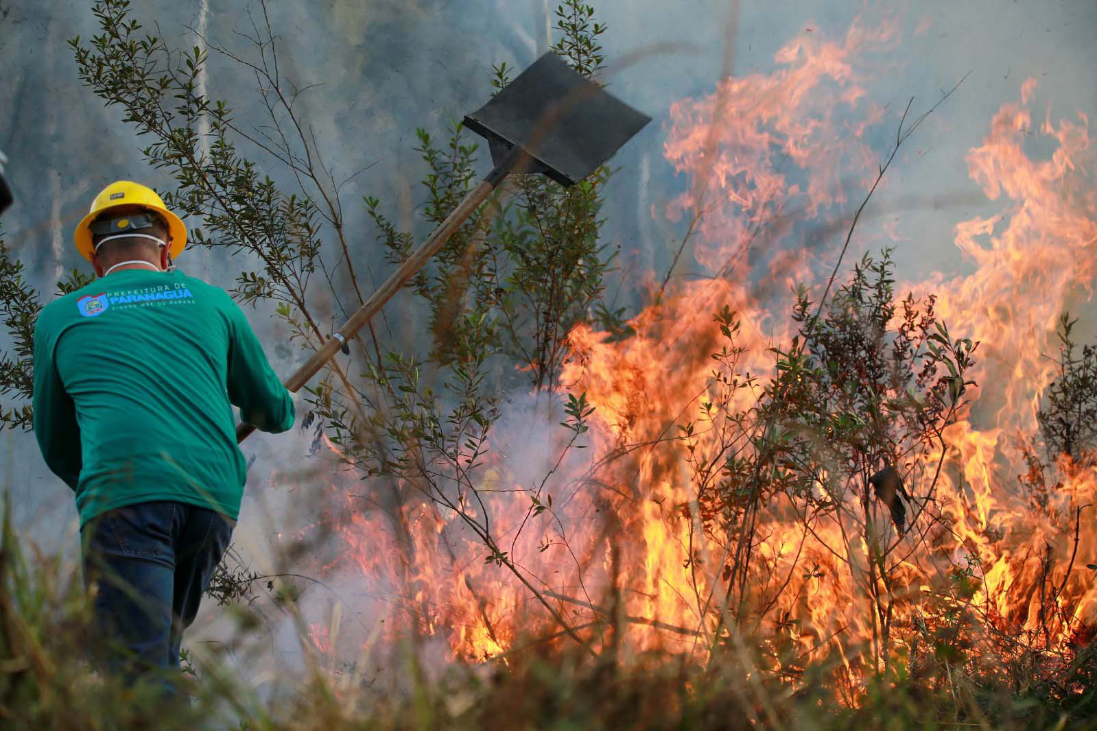 IAT alcança 1.485 voluntários com formação de nova turma de brigadistas