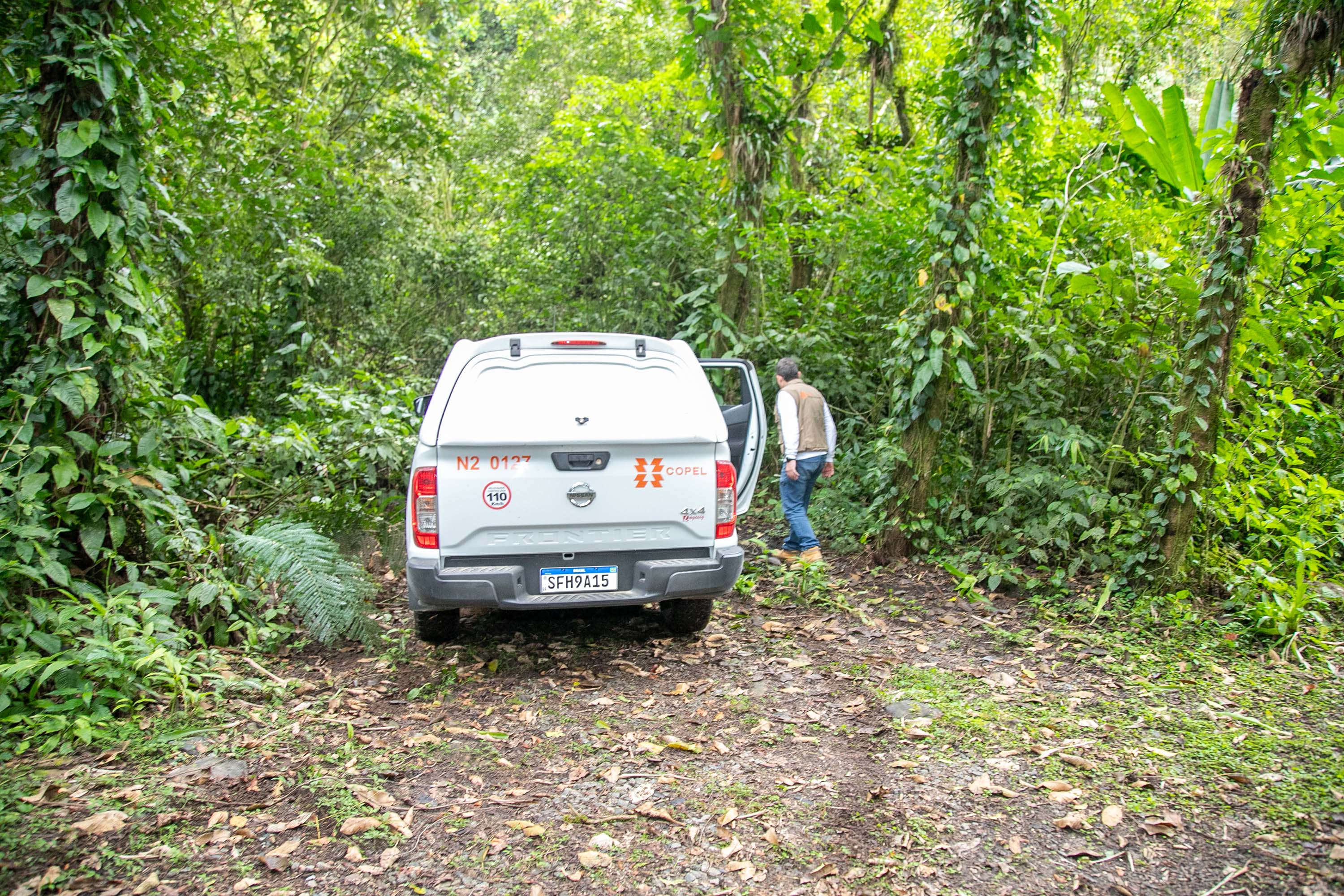 Foto de técnicos em floresta