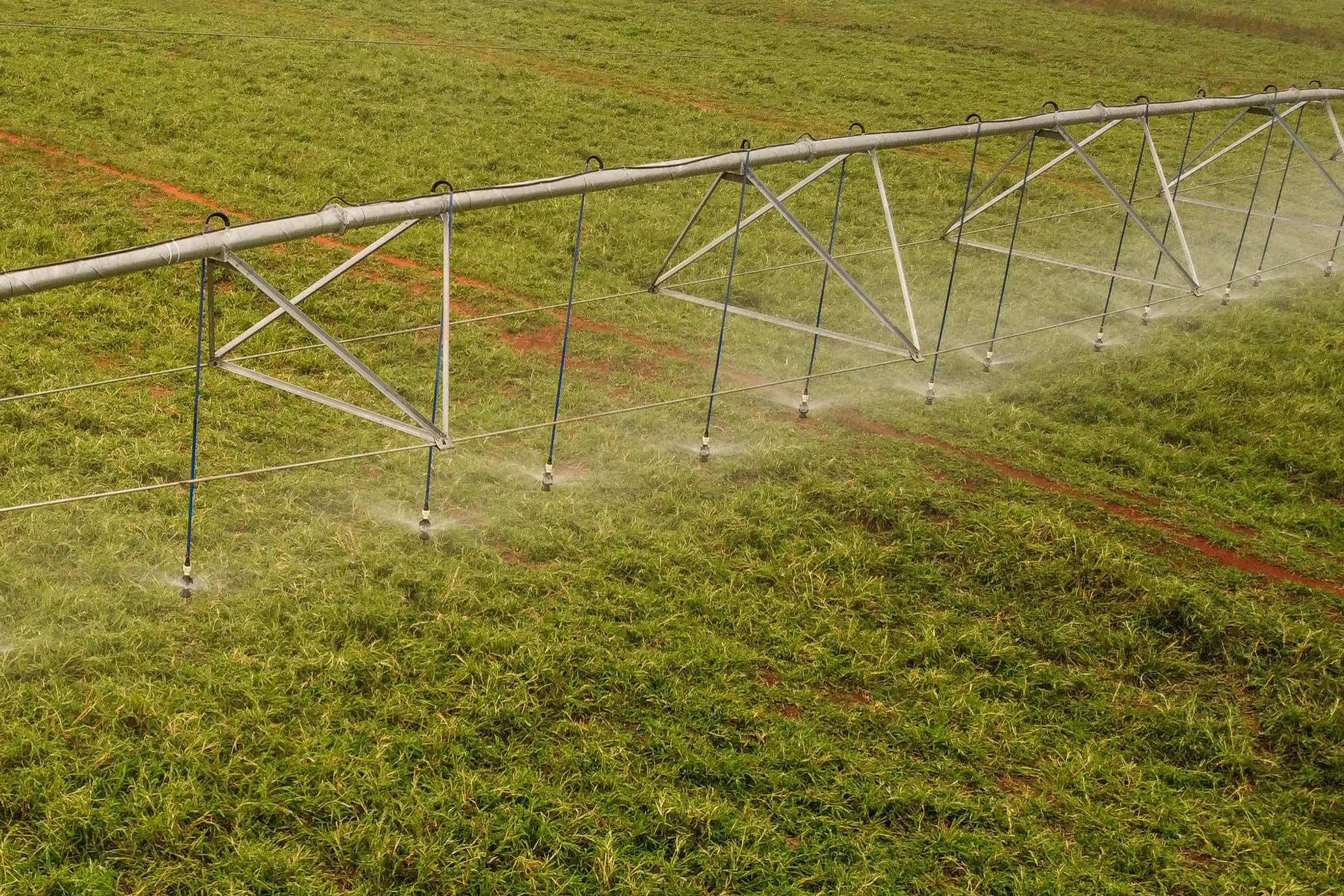 Foto de sistema de irrigação