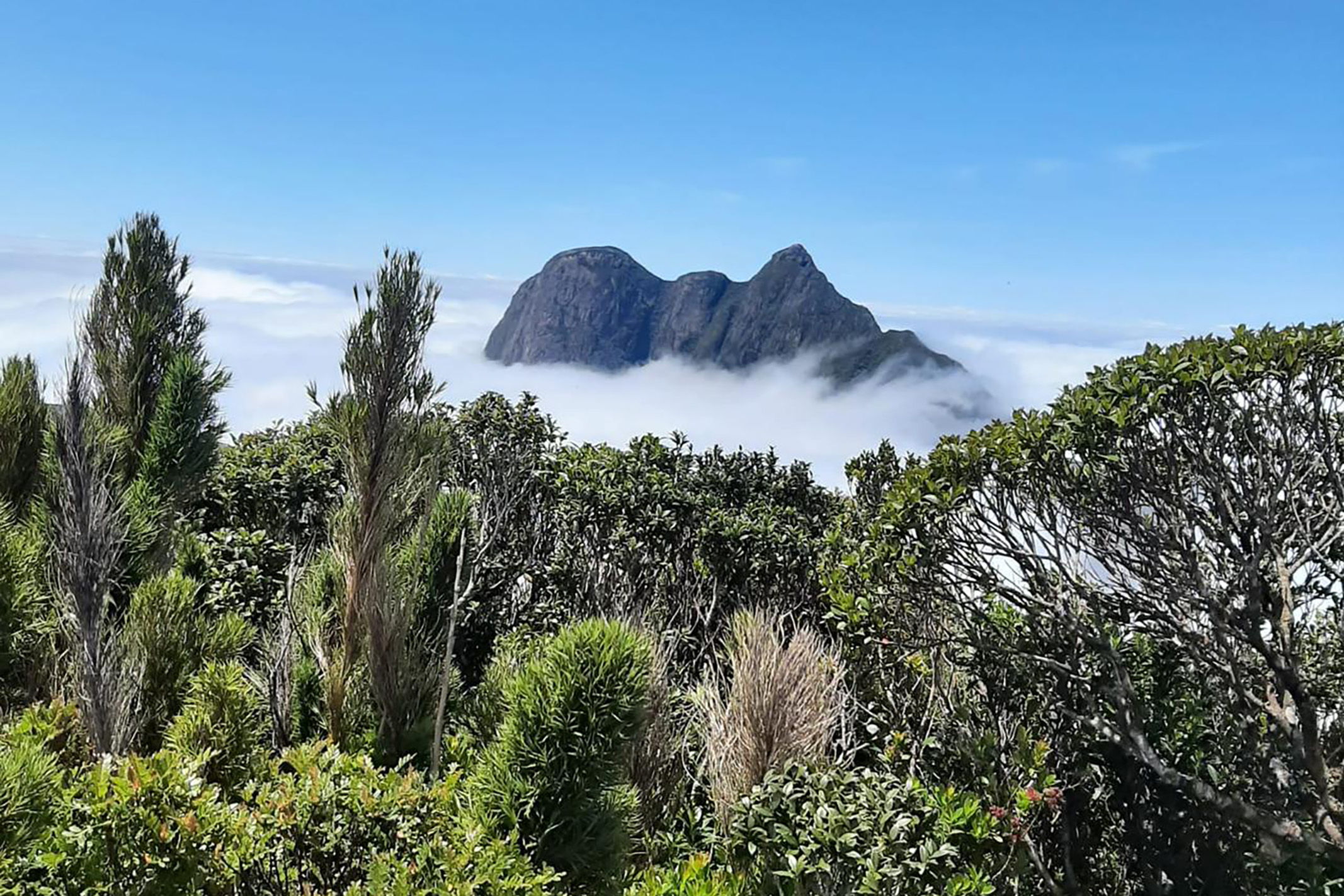 Foto de parque montanhoso do Paraná