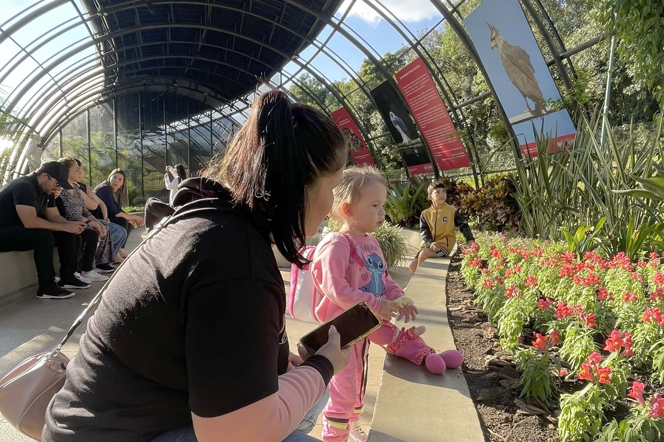 Foto de exposição de fauna ameaçada