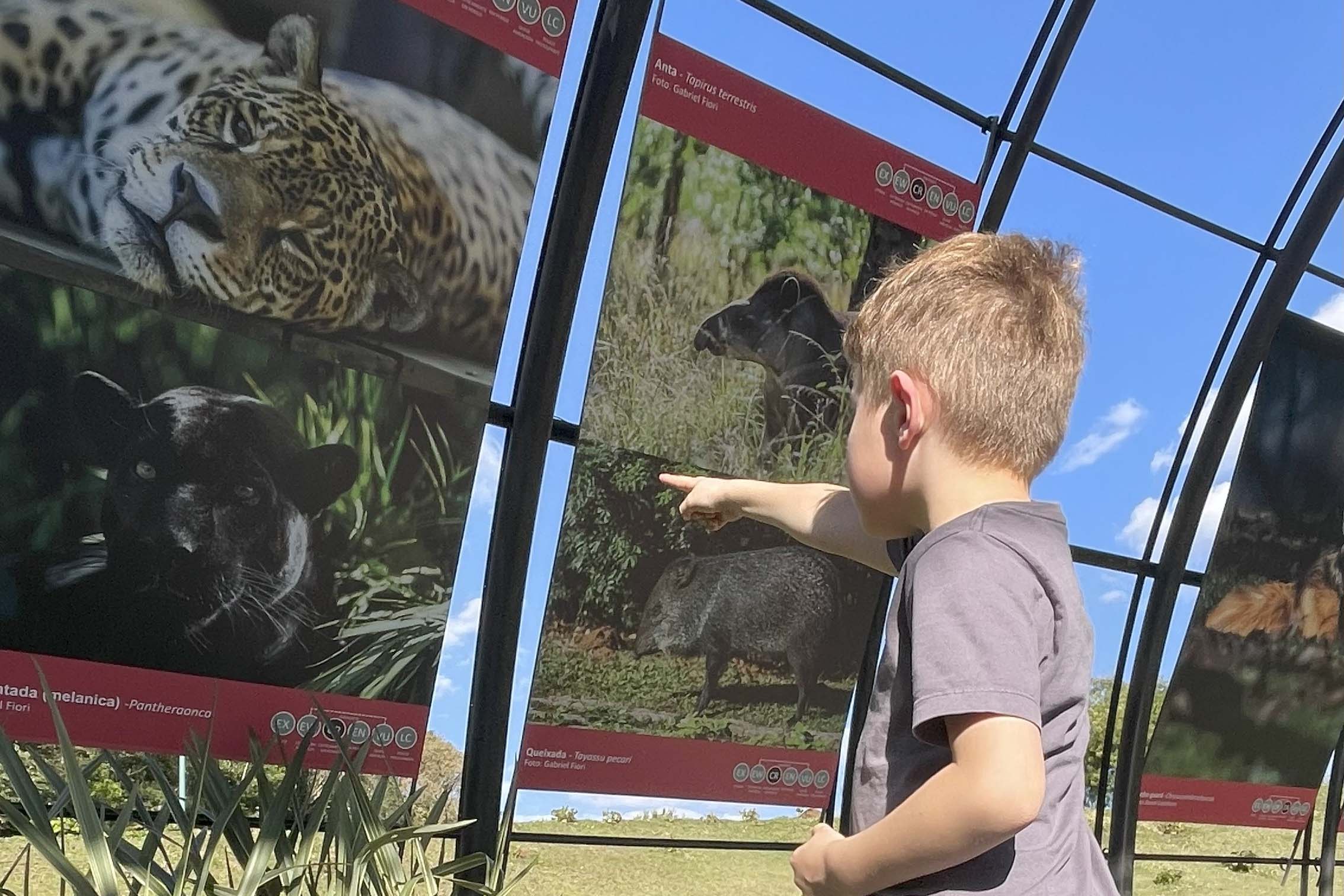Foto de exposição de fauna ameaçada