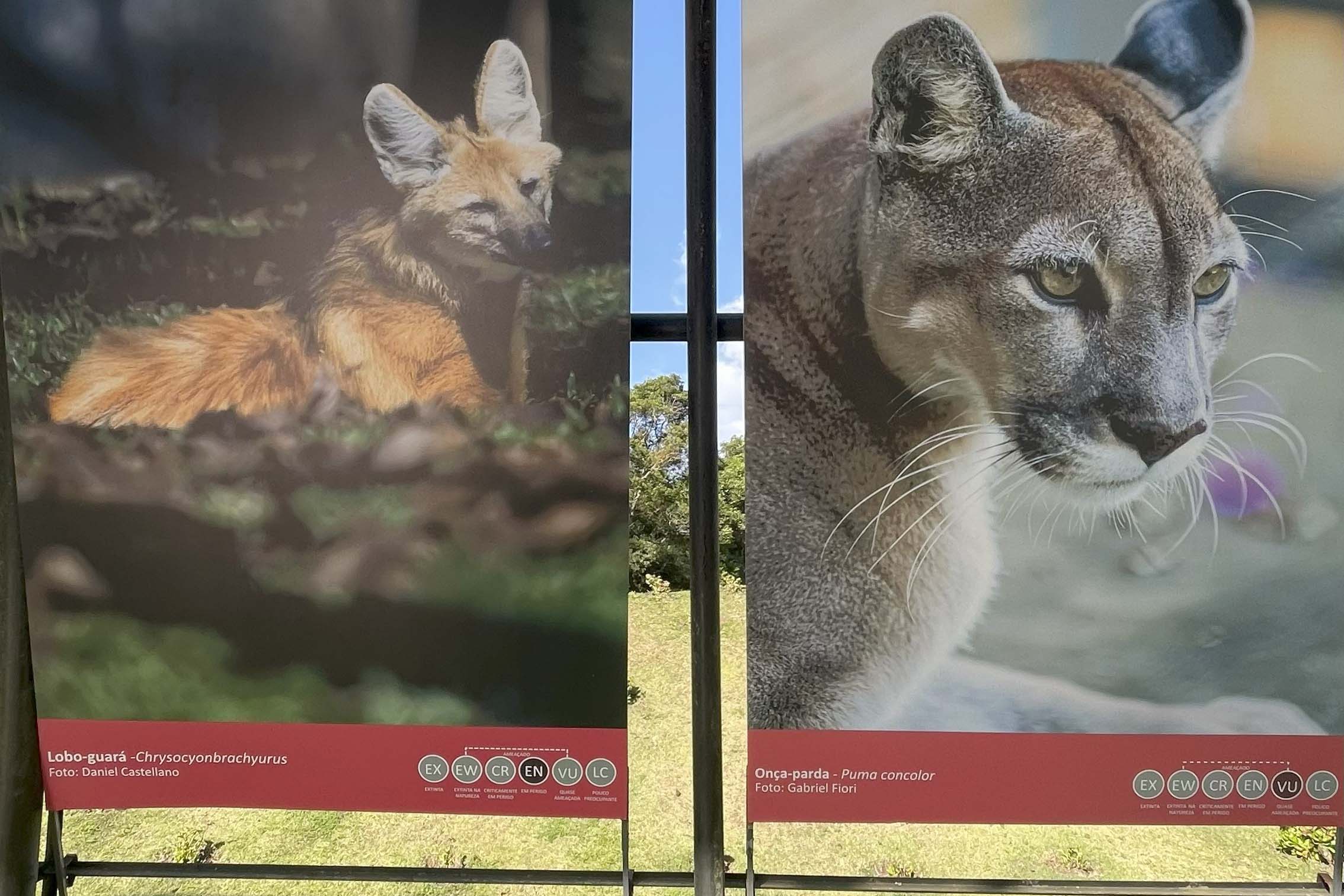 Foto de exposição de fauna ameaçada