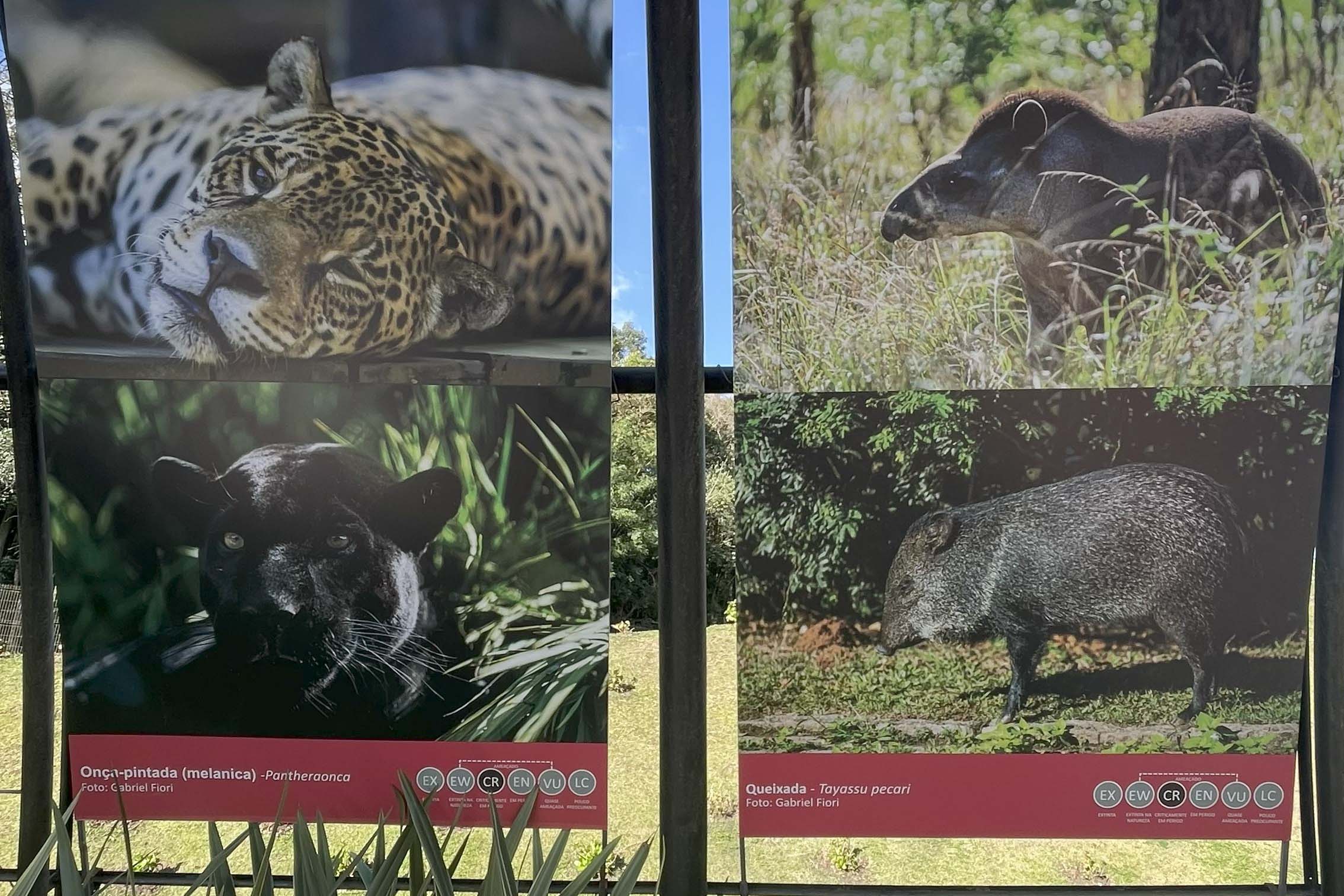 Foto de exposição de fauna ameaçada