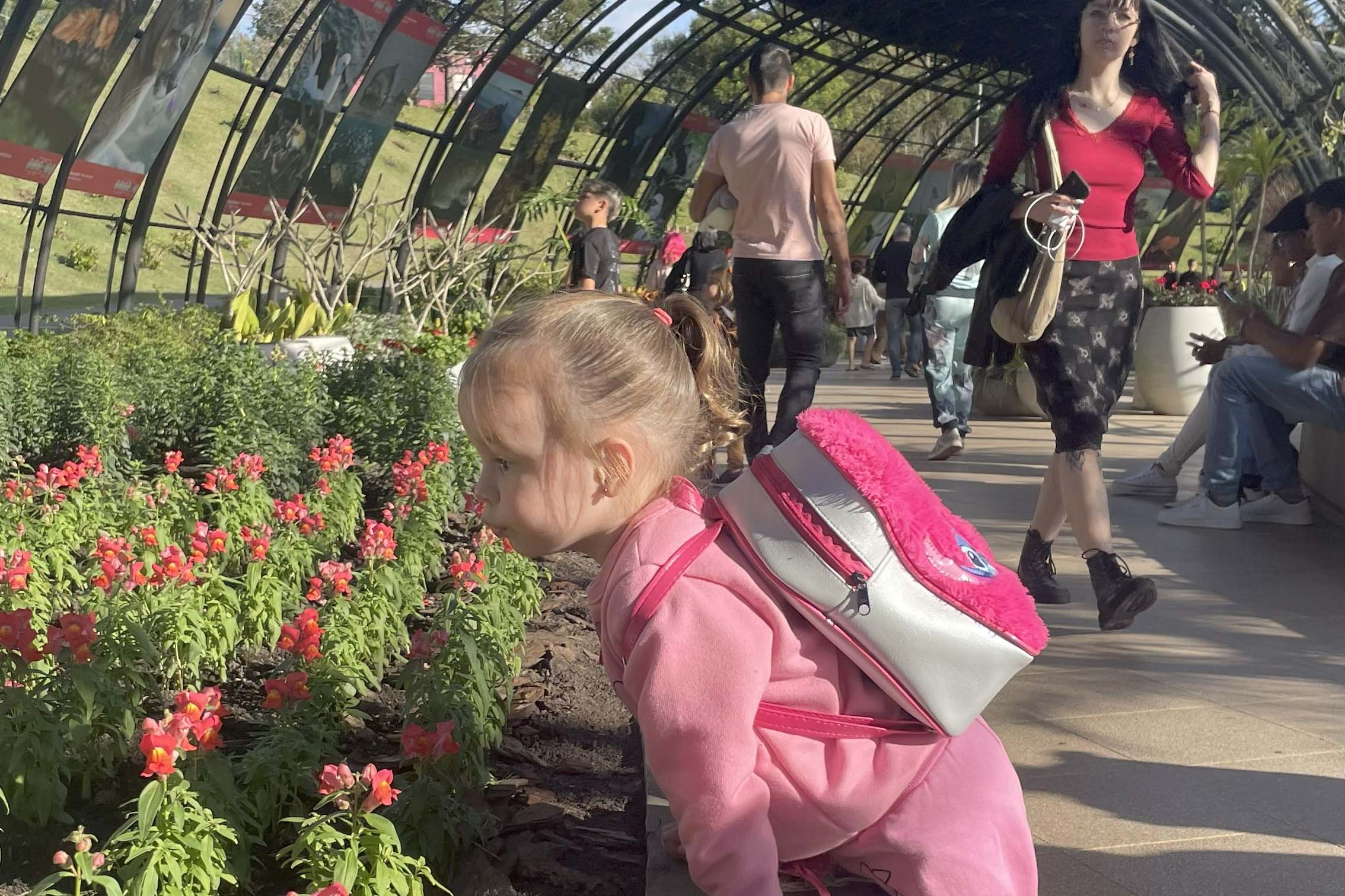 Foto de exposição de fauna ameaçada