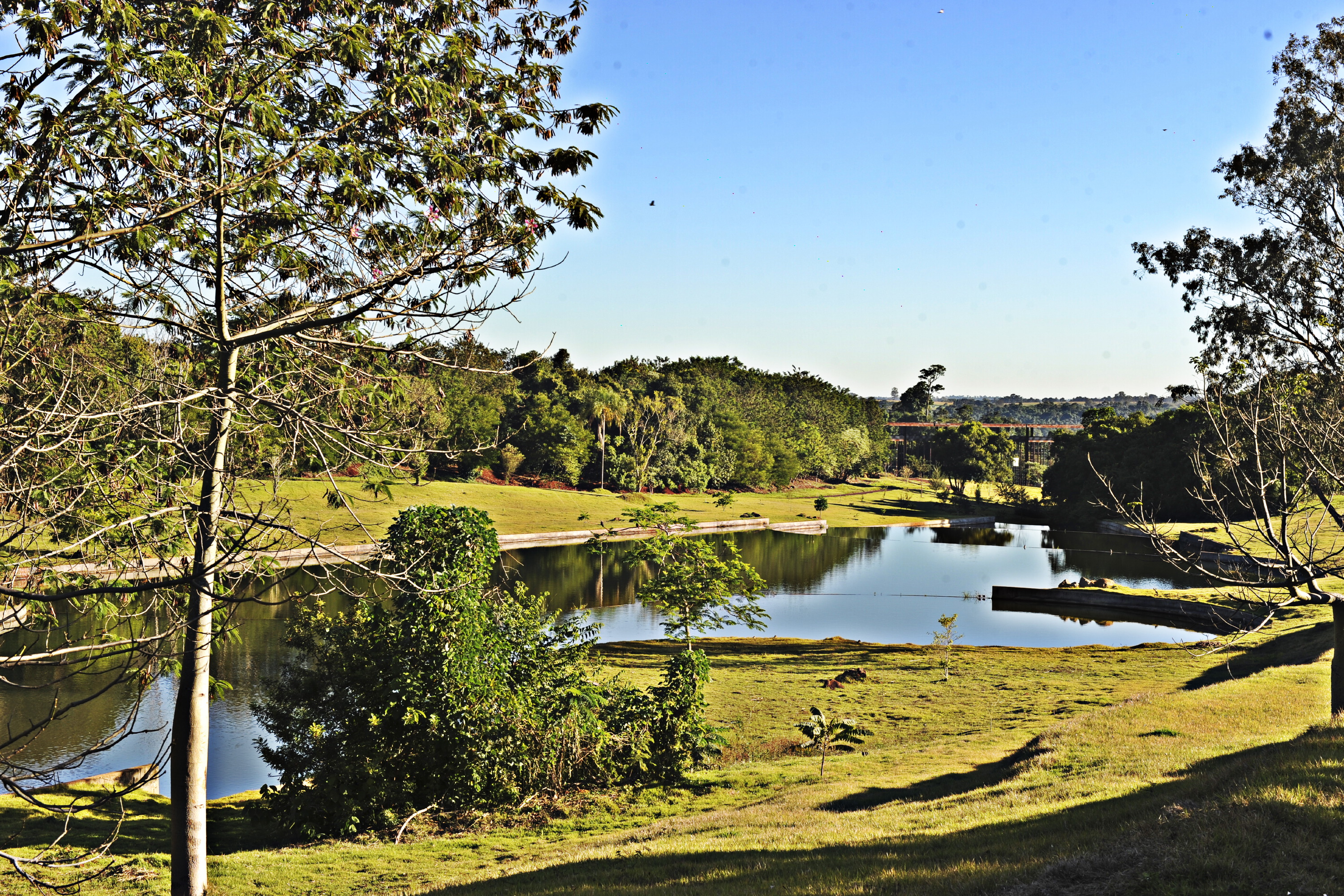 Foto do Jardim Botânico de Londrina