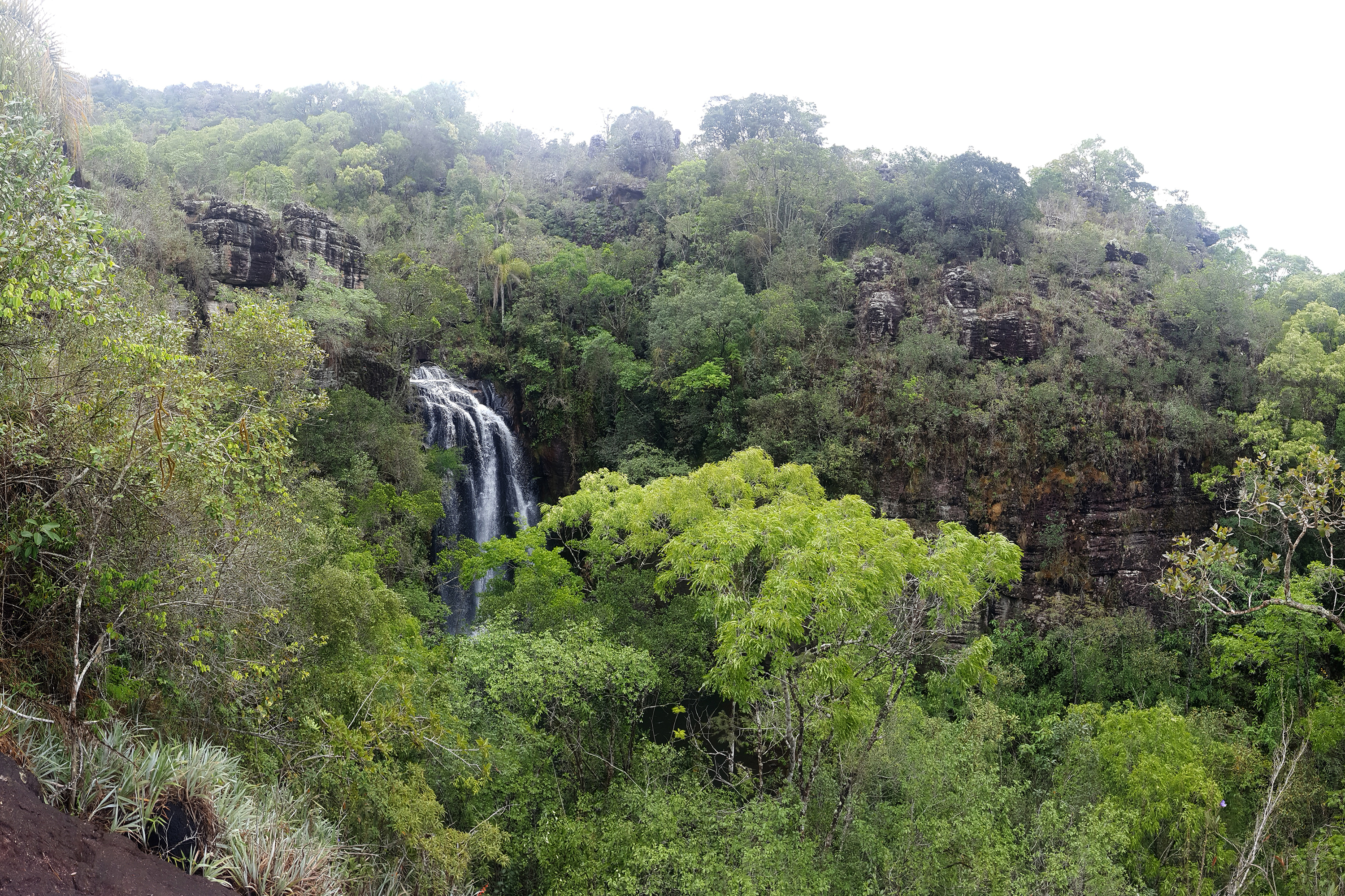 Foto de paisagem natural paranaense
