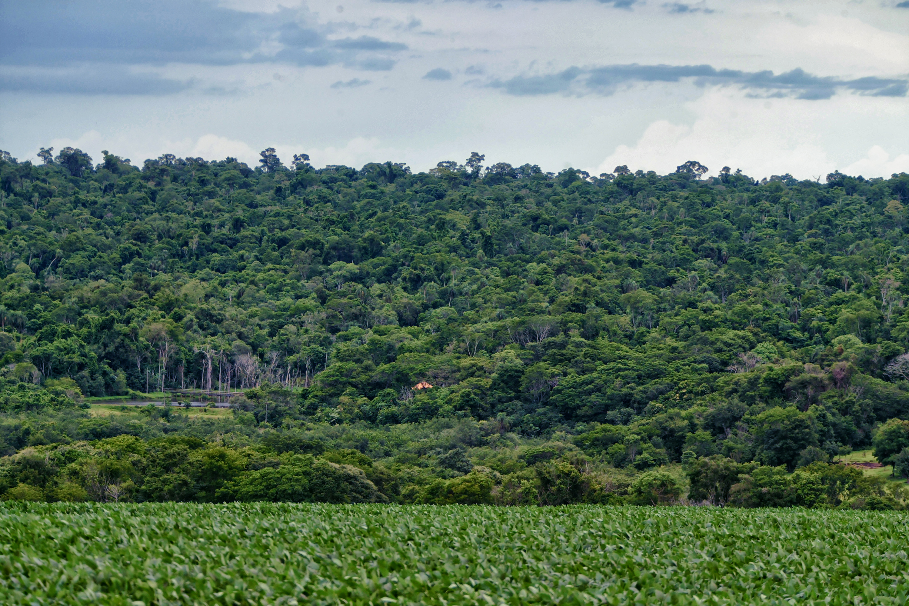 Foto de paisagem natural do Paraná