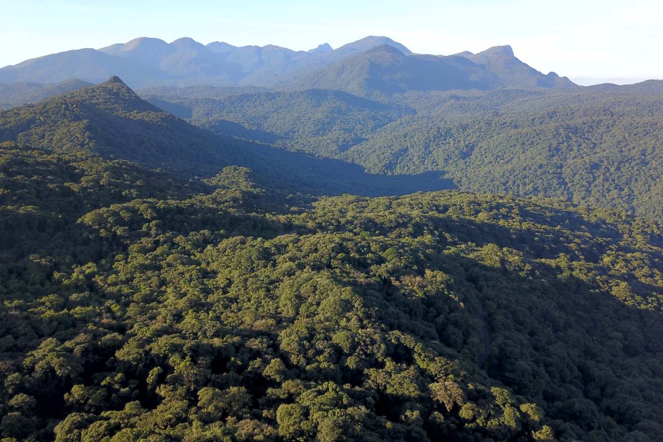 Foto aérea da Mata Atlântica