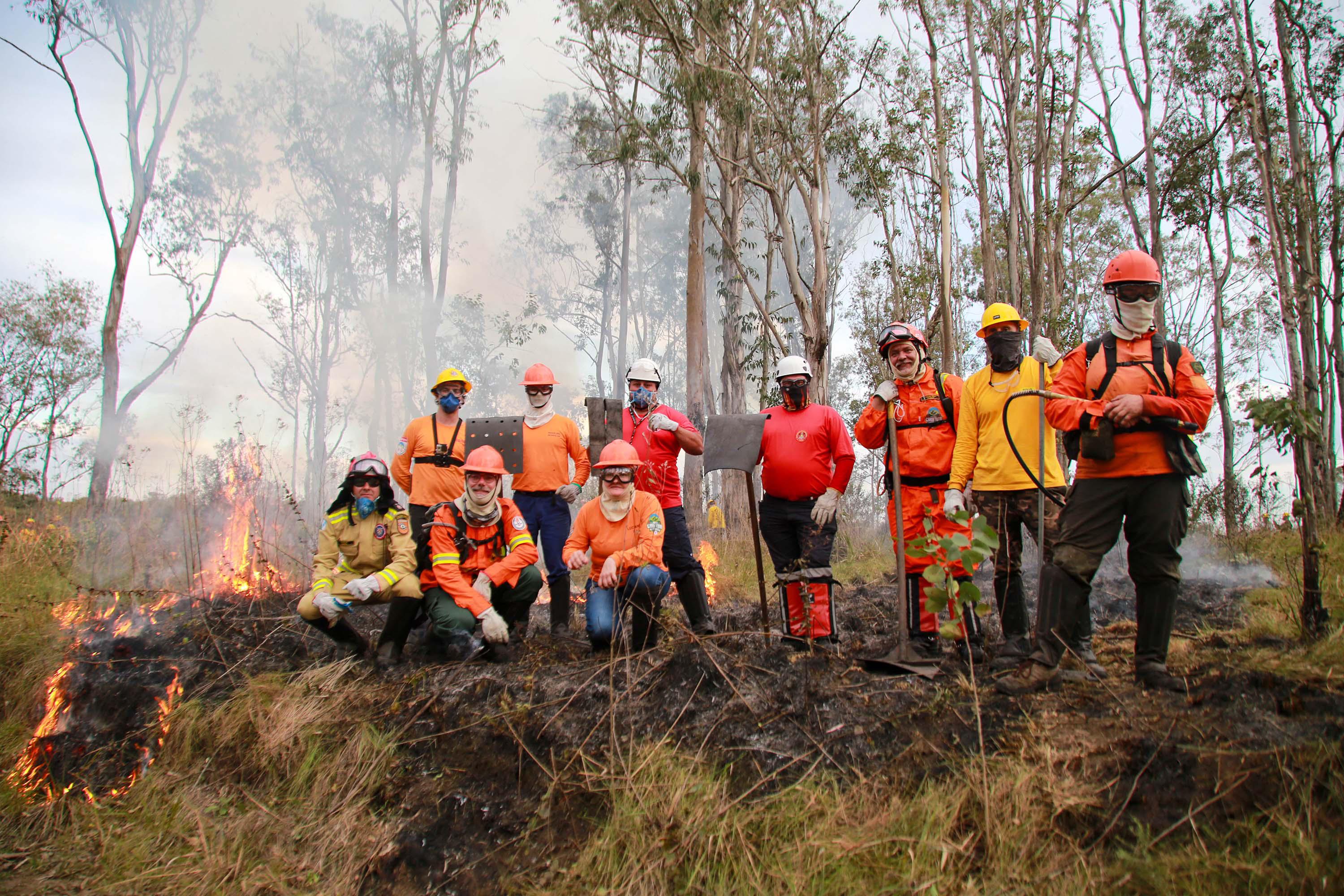 Dia do Voluntário: programas do IAT reúnem 1.594 pessoas em prol da preservação ambiental