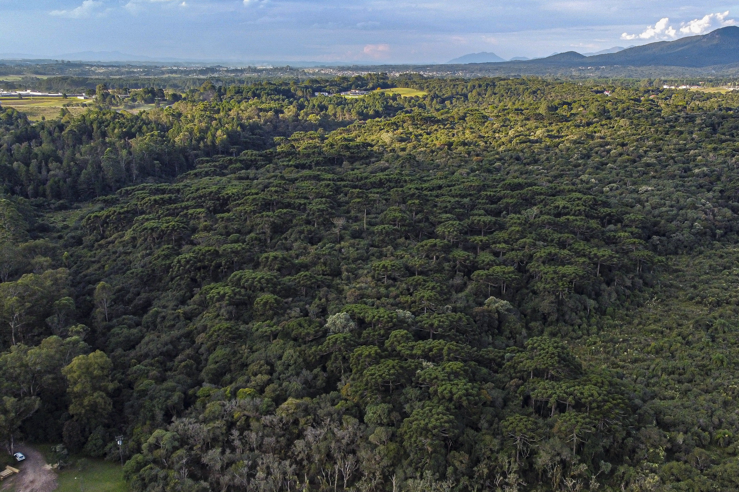 Consulta Pública do Plano de Descarbonização do Paraná vai até 20 de setembro