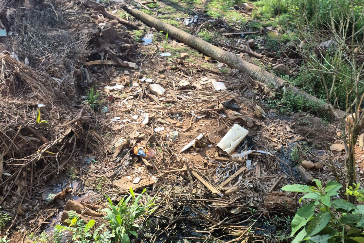 Foto de área multada pelo IAT