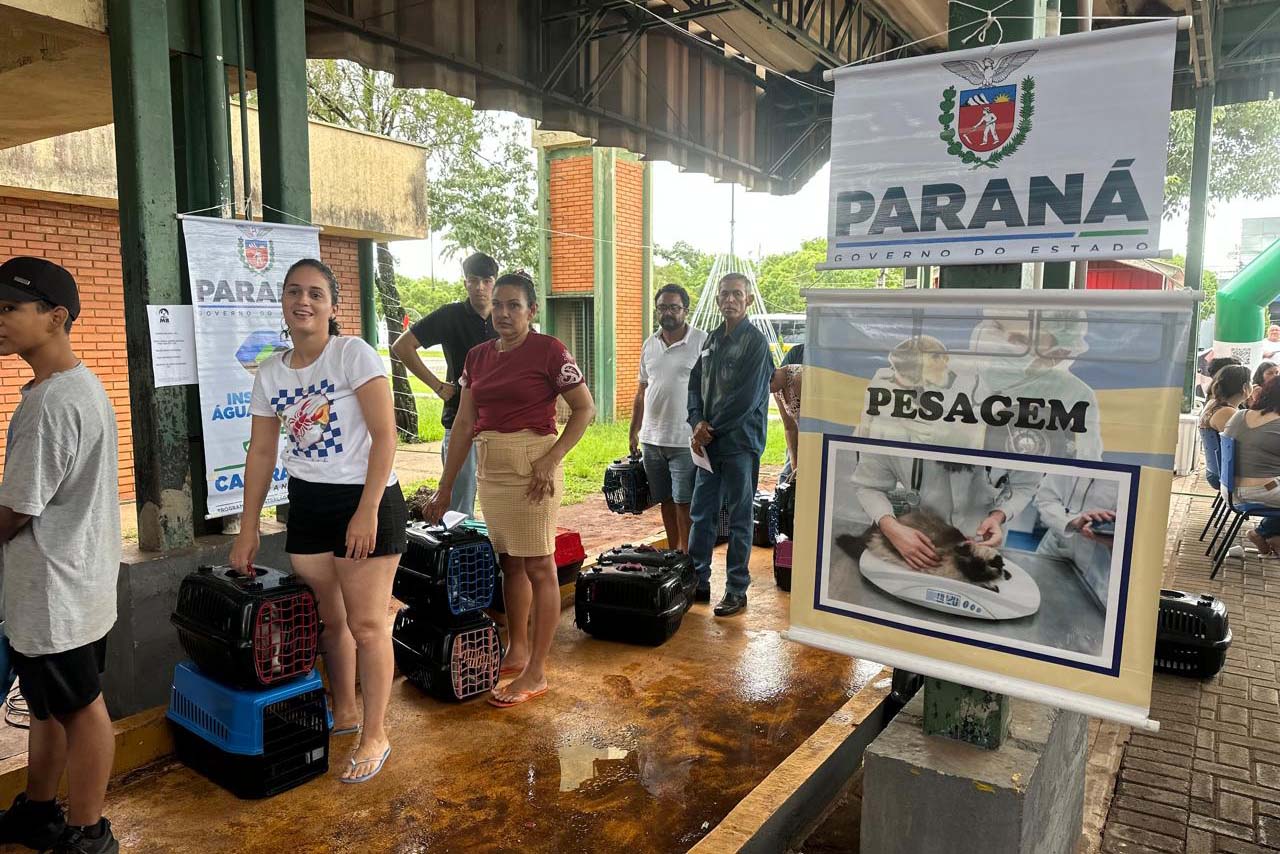 Foto de ação do Castrapet Paraná