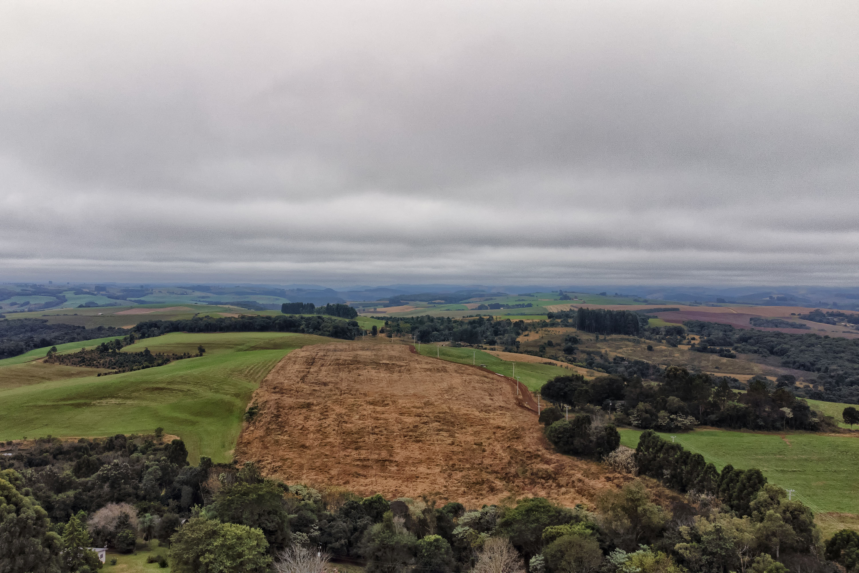 Foto de terreno agrícola