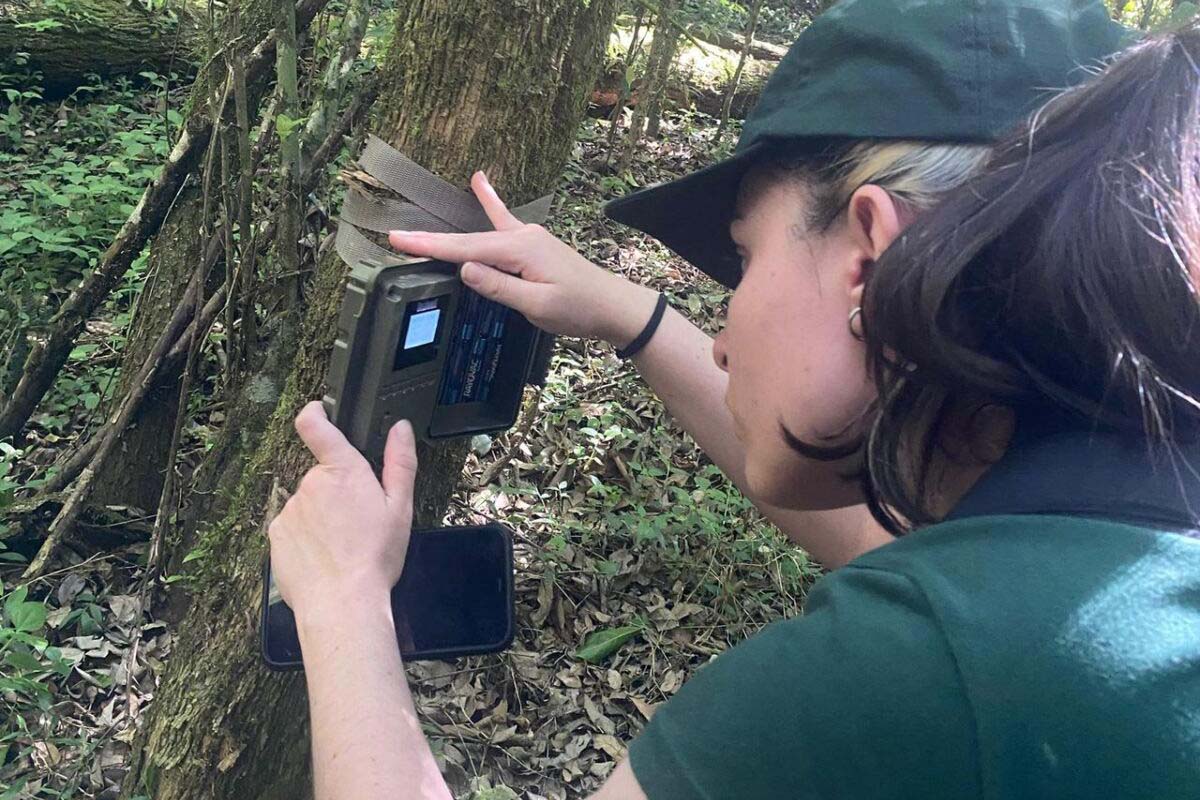 Pesquisa da Unicentro mapeia mamíferos silvestres em Unidades de Conservação