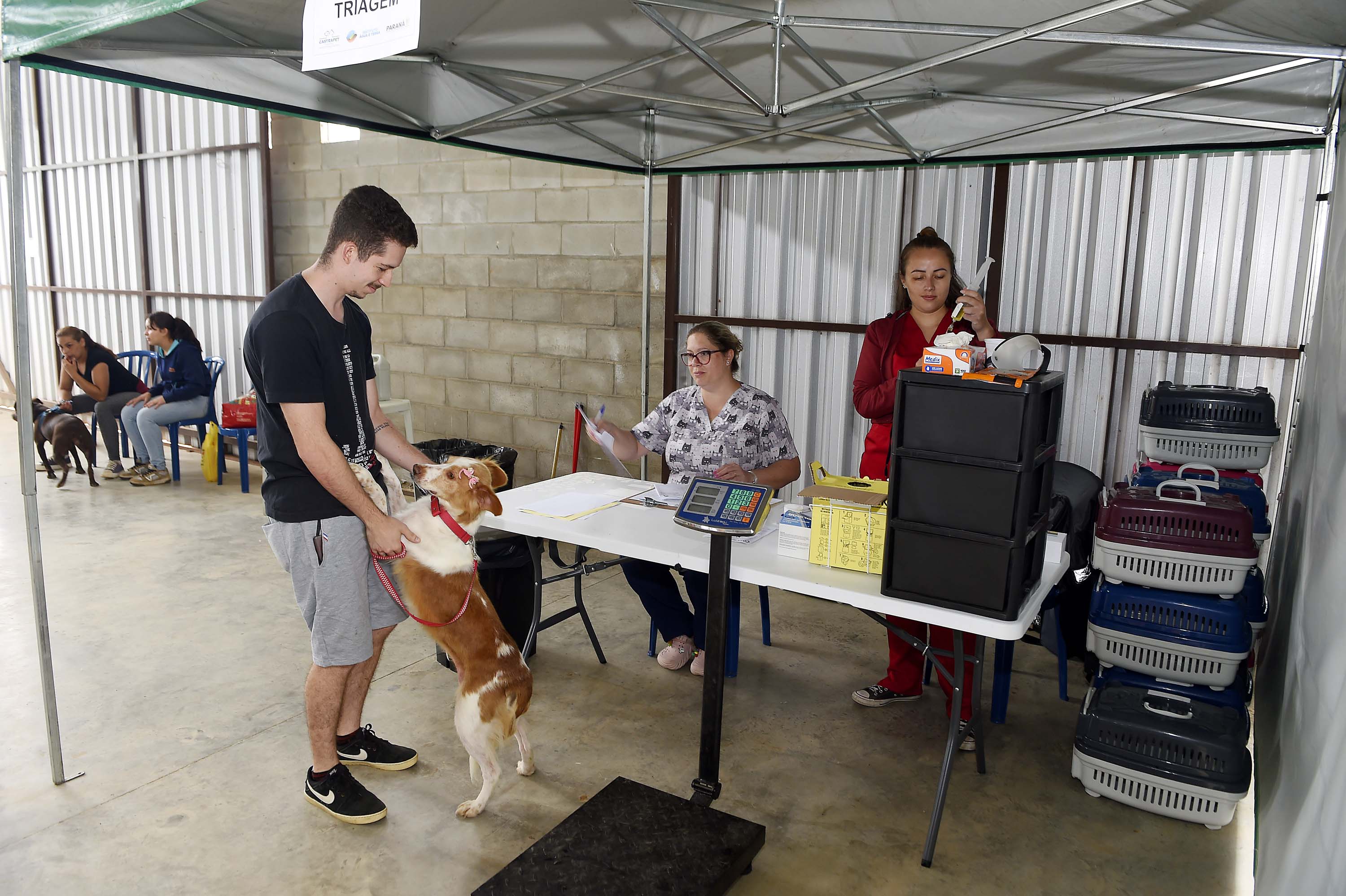 Foto de evento do Castrapet