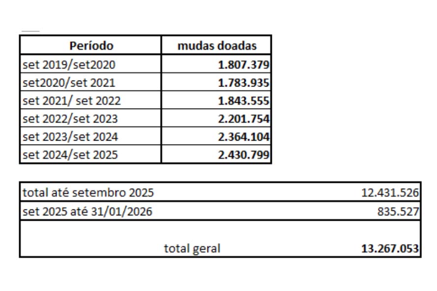 Foto de dados de mudas do IAT
